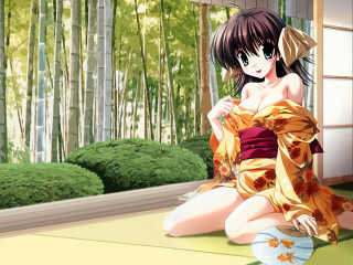 Woman kimono bamboo forest anime - the ground in front free wallpaper for desktop