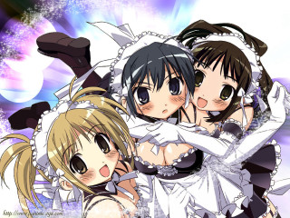 Anime wedding girls purple background - a blue light behind them free wallpaper
