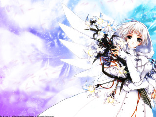 Anime girl white hair wings 4 - a bouquet of flowers free wallpaper for desktop