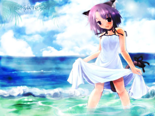 White dress ocean cat head - a white dress free wallpaper for desktop