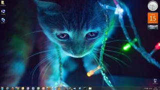 Cat looking camera clock lights - a cat free wallpaper