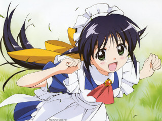 Girl running grass smile blush - a girl in a dress free wallpaper