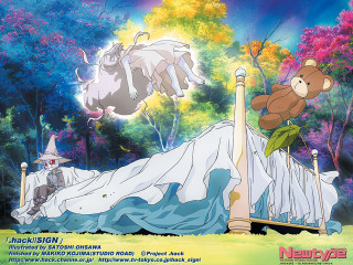 Bed teddy sleeping woman autumn - the bed free wallpaper