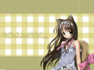 Girl cat ears checkered summer - long hair and a cat ears free wallpaper