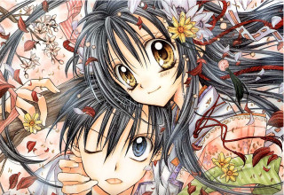 Ai mitsu anime flower girls - flower free wallpaper