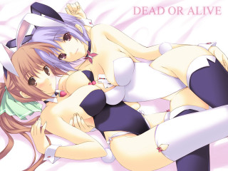 Dead or alive anime furry - alive free wallpaper