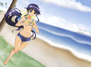 Woman bikini running beach bird - official art free wallpaper for desktop