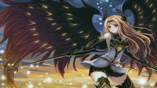 Woman sword wings snow field - the background and a sky free wallpaper