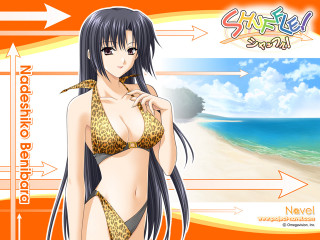 Beach sunset woman bikini ocean - a beach next free wallpaper for desktop