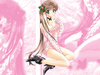 Pink dress long hair cherry - her foot free wallpaper