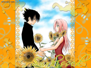 Anime couple sunflowers summer manga - official art free wallpaper for desktop