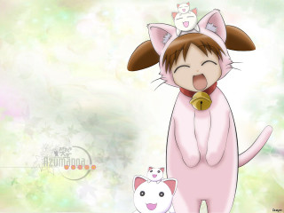 Cat kitten bell furry anime - a bell free wallpaper