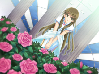 Girl ledge roses building blue - a ledge free wallpaper