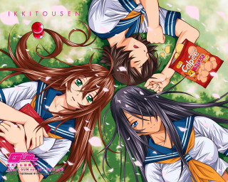 Anime girls blowing wind cherry - their hair free wallpaper