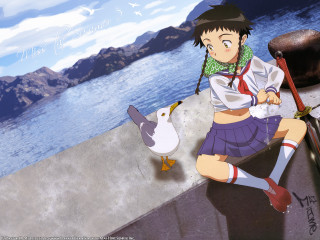 Girl schooluniform seagull beach boat - a ledge next free wallpaper