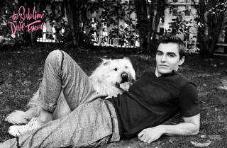 Man dog woman laying holding - his lap free wallpaper