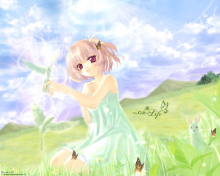 Girl green dress bird field - a green dress holding free wallpaper