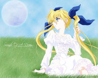 Blonde girl field blue bow - a blonde free wallpaper