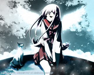 Girl cat night sky moon - a hill free wallpaper