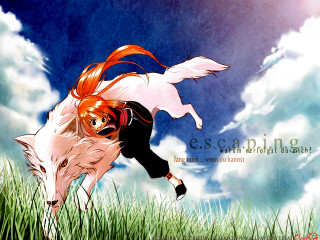 Girl wolf grass sky orange - a white wolf free wallpaper