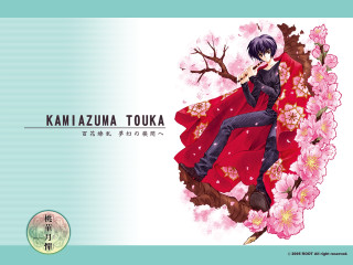 Kanzazuma touka sakura dango floral - a picture of a person free wallpaper