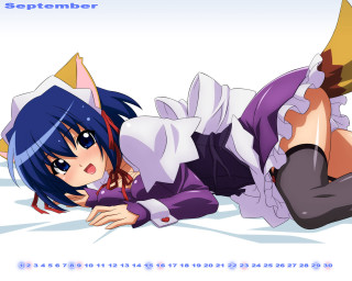 Girl purple outfit anime furry - her stomach free wallpaper
