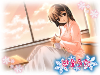 Ayako rokkaku snowflakes window sill - a cross stitch free wallpaper