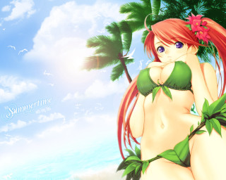 Beach bikini palm trees sky - summer free wallpaper