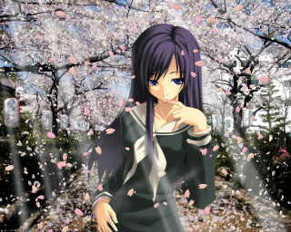 Woman black dress cherry blossoms - behind her free wallpaper