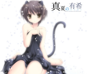 Woman dress snow cat ears - a cat tail free wallpaper