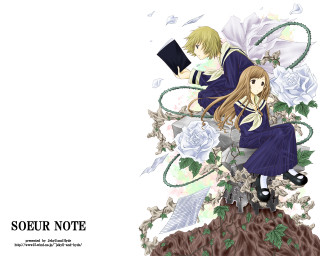 Anime characters tree flowers book - top of a tree branch free wallpaper