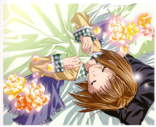 Girl holding flower blowing wind - a flower free wallpaper for desktop