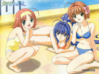 Three anime girls beach bikini - suit free wallpaper for desktop