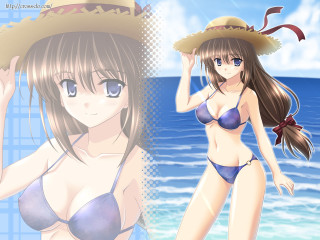 Beach woman bikini hat ocean - the beach next free wallpaper