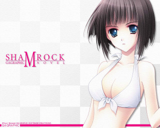 Woman bikini pink border argyle - a pink border free wallpaper