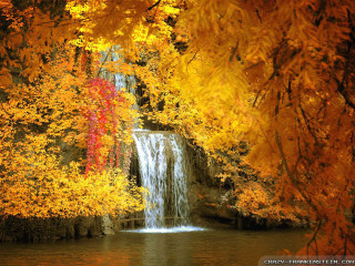 Waterfall trees yellow leaves red - a waterfall free wallpaper