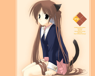 Anime girl cat ears tail 7 - a cat ear free wallpaper for desktop