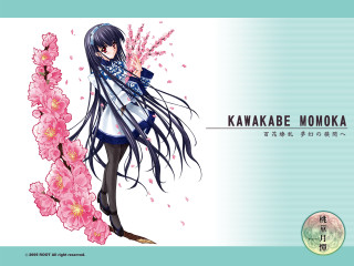 Girl long hair scarf cherry - a pink flower free wallpaper