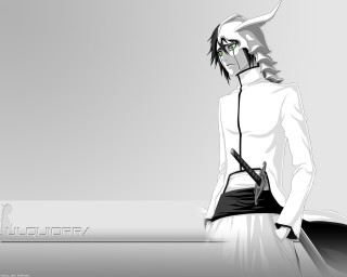 Arrancar solo sword white shirt - hat free wallpaper for desktop