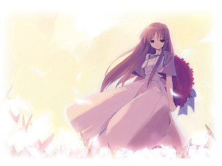 Girl dress longhair purplecape flowerfield - a purple cape free wallpaper