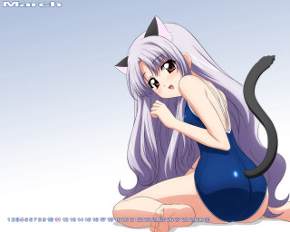 Cartoon catgirl longhair sitting anime - tachisme free wallpaper