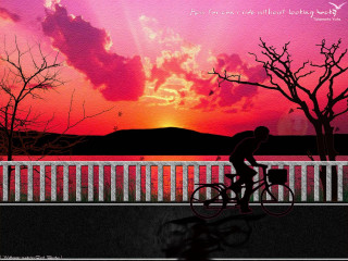 Bridge sunset bicycle pink sky - a person riding free wallpaper