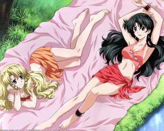 Two anime girls grass lying - a blanket free wallpaper