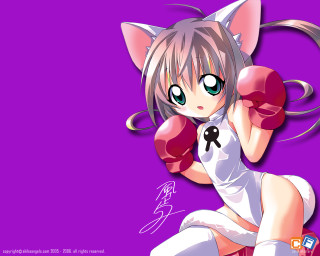 Cat ears boxing gloves anime - glove free wallpaper