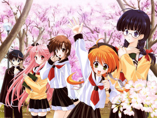 Anime girls cherryblossoms spring picnic - a group of anime girls free wallpaper