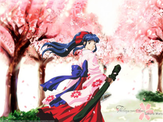 Cherry blossoms park woman umbrella - a long dress holding free wallpaper