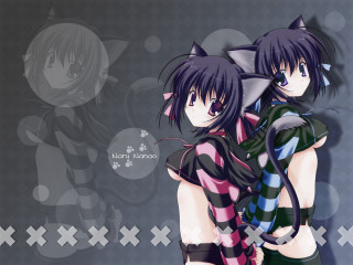 Anime girls hugging cat gothic - their shoulder free wallpaper for desktop