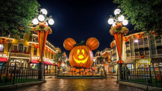 Mickey mouse pumpkin carved night - a city free wallpaper