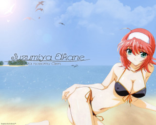 Beach bikini girl seagull summer - above her head free wallpaper for desktop