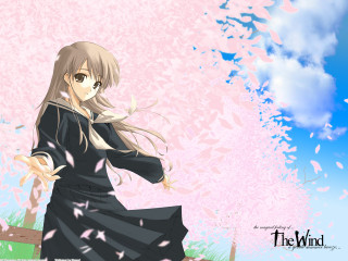 Woman black dress bench pink 2 - a bench in front free wallpaper